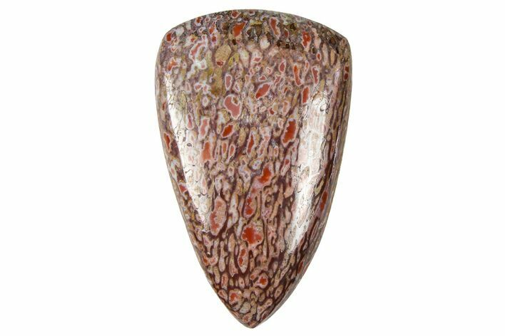Polished Dinosaur Bone (Gembone) Cabochon - Colorado #370755